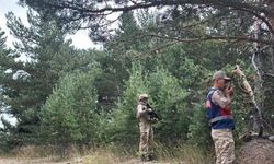 Ormanda mangal yakan 11 kişiye 32 bin TL ceza