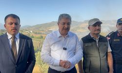 Osmaniye'de orman yangını (2)