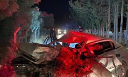 Refüjdeki ağaca çarpan otomobilin sürücüsü öldü