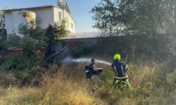 Rüzgarın etkisiyle kopan elektrik telleri yangına neden oldu
