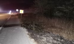 Samsun'da seyir halindeki TIR'da çıkan yangında alevler ağaçlara sıçradı (2)