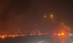 Samsun'da seyir halindeki TIR'da çıkan yangında alevler ağaçlara sıçradı