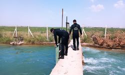 Şanlıurfa'da baraj gölünde kaybolan Deniz için arama çalışması başladı