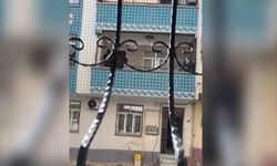 Şanlıurfa'da kadına şiddet kamerada