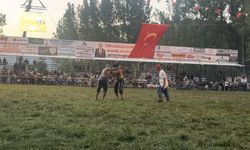 Seki Yağlı Güreşleri'nde Başpehlivan İsmail Koç oldu
