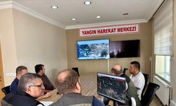 Sinop'taki orman yangını kontrol altına alındı
