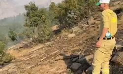 Şırnak’ta ormanda örtü yangını (2)