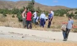 Sivas'ta buğday yüklü traktör devrildi: 2 ölü