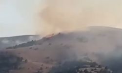 Sivas'taki anız yangını ağaçlara sıçradı