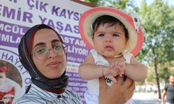 SMA'lı Alya'nın annesi: Bebeğimi yaşatmak istiyorum