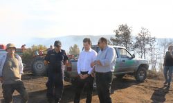 Tokat’ta orman yangını (2)