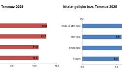 TÜİK: Temmuzda ihracat ve ithalat arttı