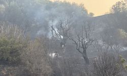 Turgutlu’da maki ve zeytinlikteki yangın, ormana sıçramadan söndürüldü