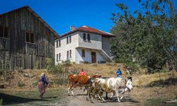 Uluslararası Ultra Abant 790 sporcunun katılımıyla koşuldu
