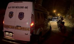 Üniversiteli Teslime, tabancayla başından vurulmuş halde orman yolunda ölü bulundu