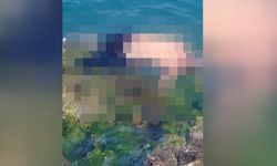 Yalova'da denize giren eski futbolcu Metin Baş boğuldu