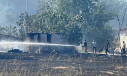 Yol kenarında çıkan yangın akaryakıt istasyonuna ulaşmadan söndürüldü