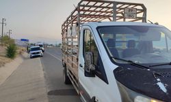 Yol kenarında koşarken kamyonetin aynası çarptı, yaralandı
