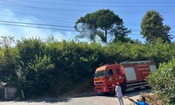Zonguldak'ta ağaçlık alanda çıkan yangın söndürüldü