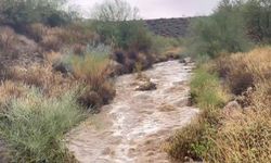 ABD'nin Arizona eyaletinde sel: 4 ölü