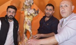 AFAD ekibinden Erek ve Süphan dağlarına zirve tırmanışı