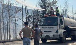Ağaçlık alanda çıkan yangın, kontrol altına alındı