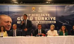 AK Parti'li Zeybekci: CHP'de yaşananlar bizi sevindirmiyor