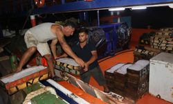 Akdeniz'de av yasağı kalktı; 1 kilo fiyatına 1 kasa balık