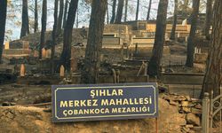 Alanya'daki orman yangınında 3'üncü gün (2)