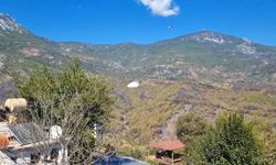 Alanya'daki orman yangınlarında 400 hektar alan zarar gördü