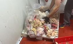 Ankara'da 11 bin 250 kilo kaçak et ve tavuk ürünü ele geçirildi