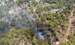 Antalya'da orman yangını (2)