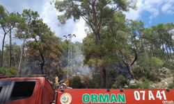 Antalya'da orman yangını / Ek fotoğraflar