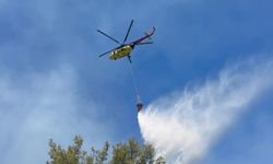Antalya'da orman yangını, hızlı müdahale ile büyümeden kontrol altına alındı