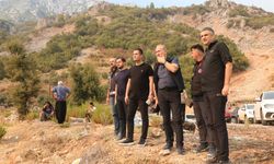 Antalya'daki orman yangınlarında 1350 hektar alan zarar gördü