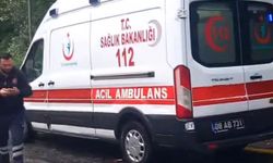Artvin sağanak etkili oldu; dere taştı, köprü yıkıldı (2)