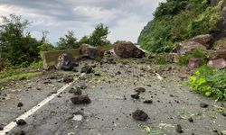 Artvin'de heyelan; kapanan Karadeniz Sahil Yolu ulaşıma açıldı (2)