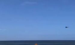 Avustralya'da ölümcül köpek balığı saldırısı