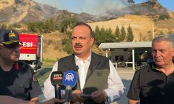 Aydın Efeler'de orman yangını (2)