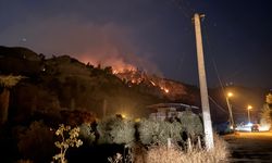 Aydın Efeler'de orman yangını (3)