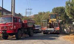 Aydın Efeler'de orman yangını / Ek fotoğraflar