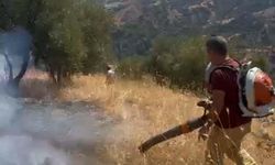 Aydın'da tarım arazisinde yangın (2)