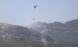 Aydın'daki orman yangını 4'üncü gününde (2)