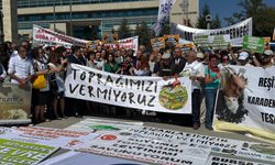 AYM'ye 'zeytin-maden yasası' başvurusu
