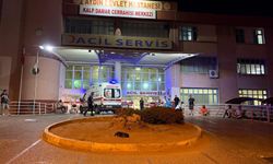 Baba ile 14 yaşındaki kızını tabancayla vurdu