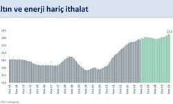 Bakan Şimşek'ten dış ticaret verilerine ilişkin değerlendirme