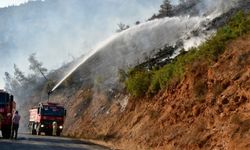 Balıkesir'de orman yangını (3)