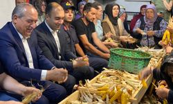 Bartın'da 2 asırlık gelenek; 3 saat boyunca topluca mısır soydular