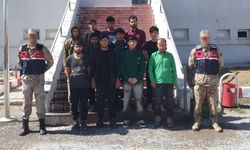 Bitlis'te 11 kaçak göçmen yakalandı, 2 organizatör tutuklandı