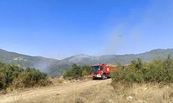Burdur'da çıkan orman yangını kontrol altında (2)